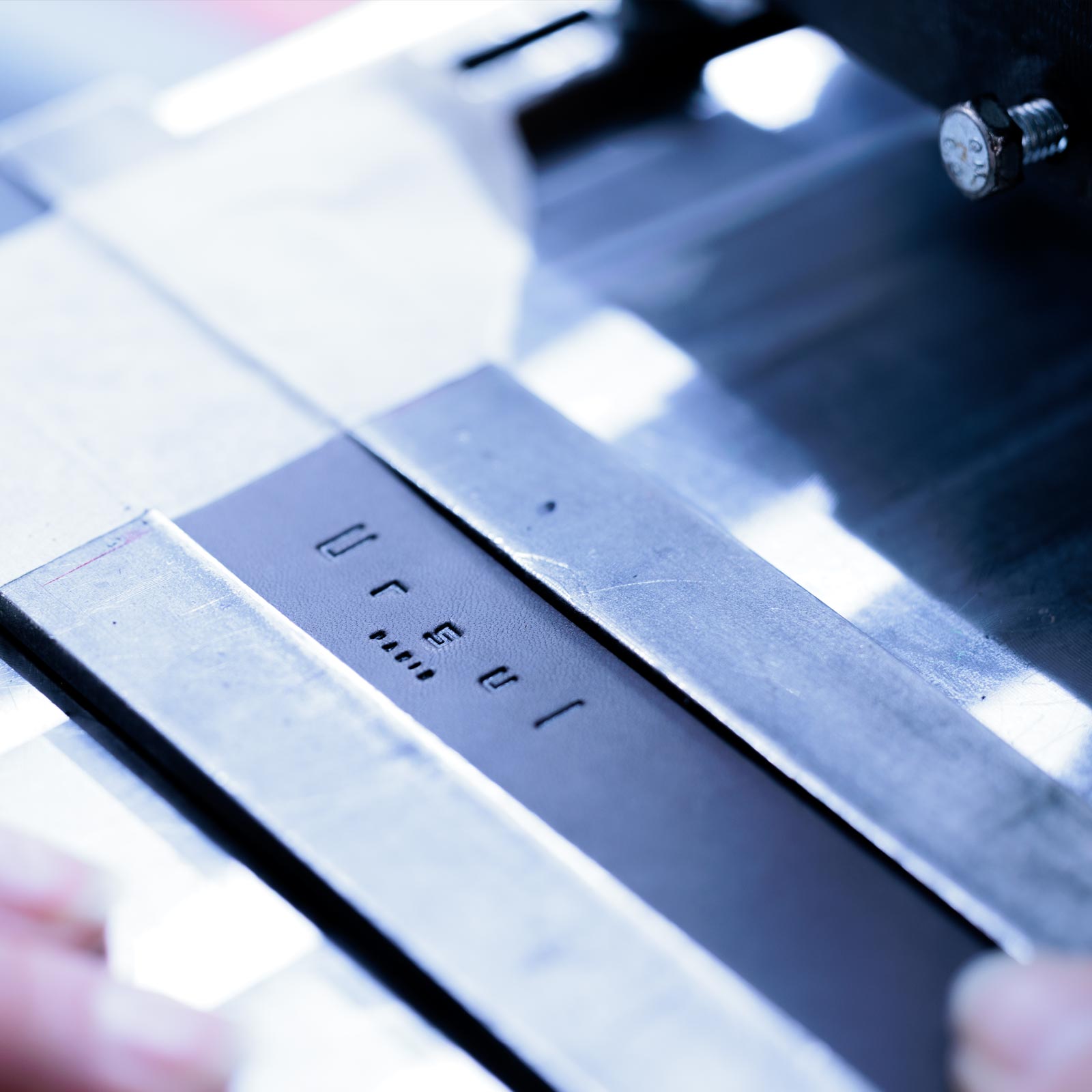 Gravure Ursul sur cuir pleine fleur, rigueur du geste et précision du détail.